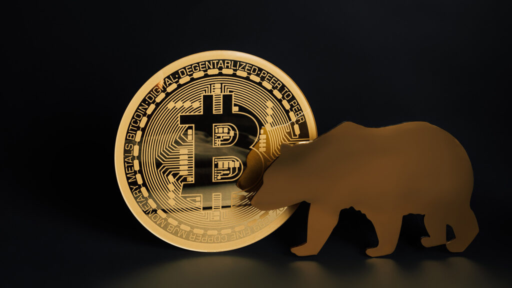 Bitcoin & Bear