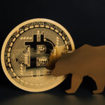 Bitcoin & Bear